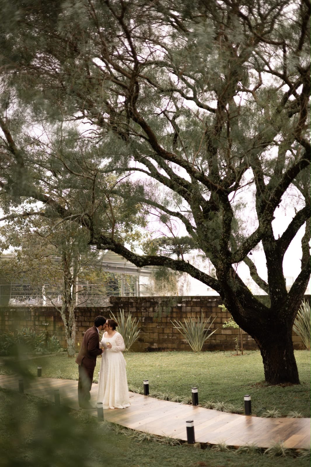 Casal se beijando sob a árvore — casamento